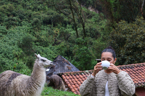 Drinking instant bone broth tea from Rooted Broth in nature, showcasing convenient protein-packed nutrition for adventurous lifestyles.